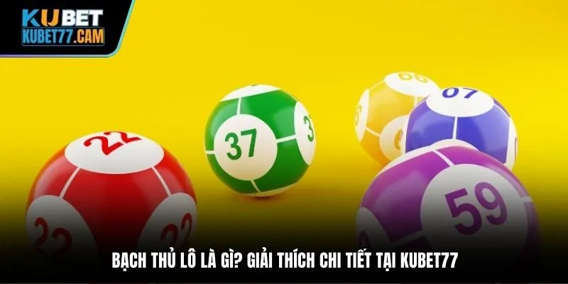 Bạch thủ lô là gì? Giải thích chi tiết tại Kubet77