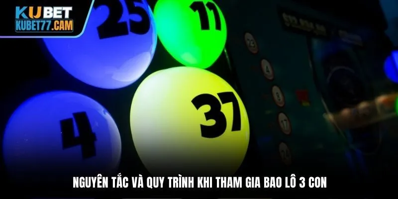 Nguyên tắc và quy trình khi tham gia bao lô 3 con