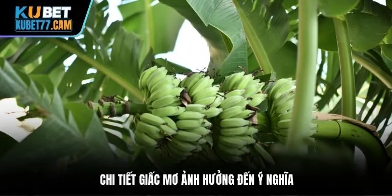 Chi tiết giấc mơ ảnh hưởng đến ý nghĩa