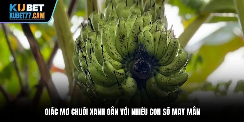 Giấc mơ chuối xanh gắn với nhiều con số may mắn