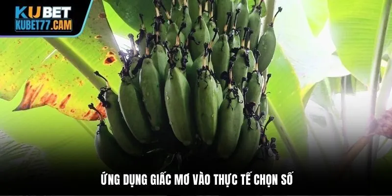 Ứng dụng giấc mơ vào thực tế chọn số