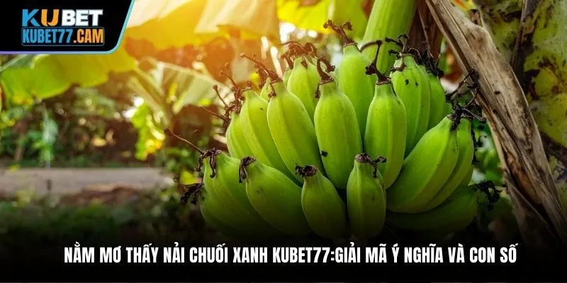 Nằm mơ thấy nải chuối xanh Kubet77:Giải mã ý nghĩa và con số