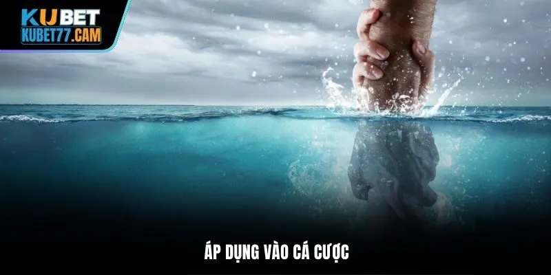 Áp dụng vào cá cược