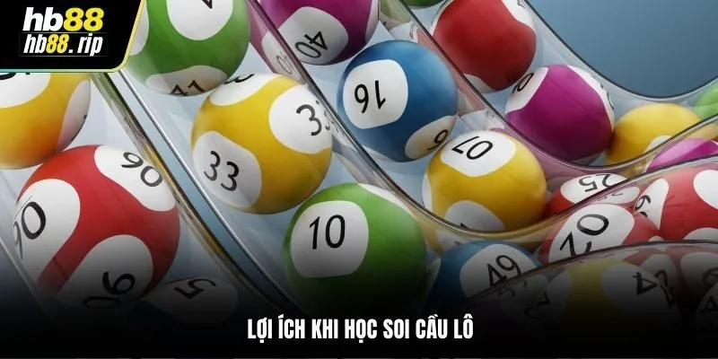 Lợi ích khi học soi cầu lô